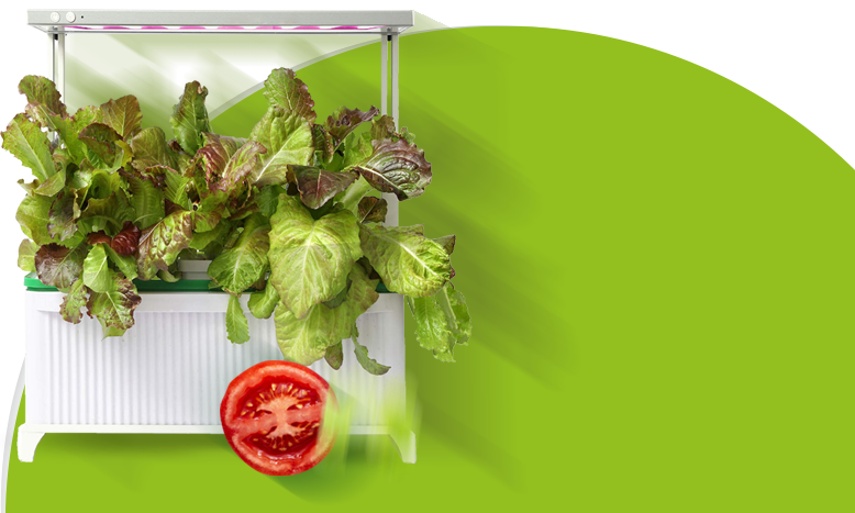 Гидропонные установки HobbyFarm Гидропонные установки HobbyFarm